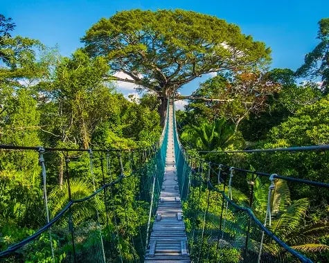 Peru|What To Do In Peru