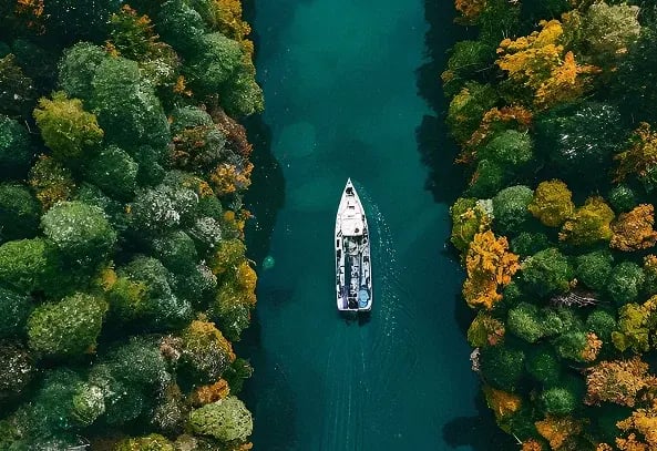 Peru|Amazon Rainforest