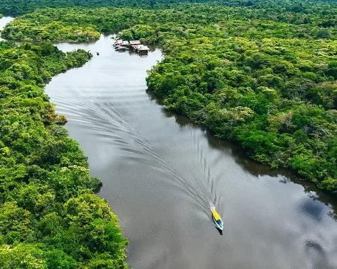 Peru|Amazon Rainforest