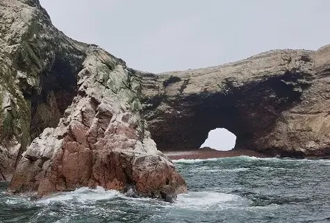 Peru|Paracas