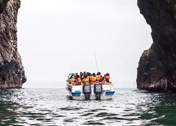 Peru|Paracas