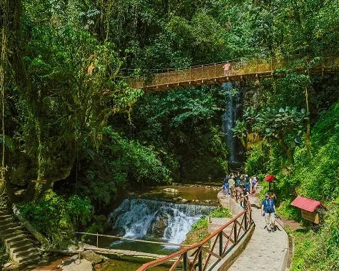 Peru|Amazon Rainforest