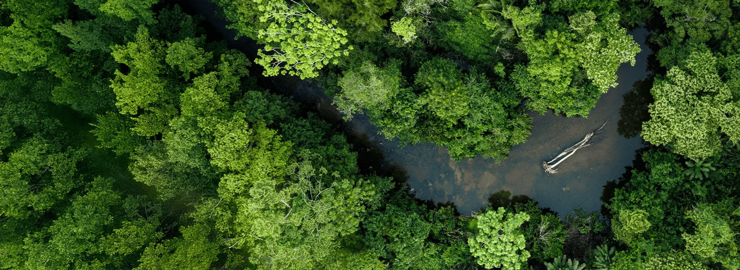 Discover Peru’s Amazon Jungle