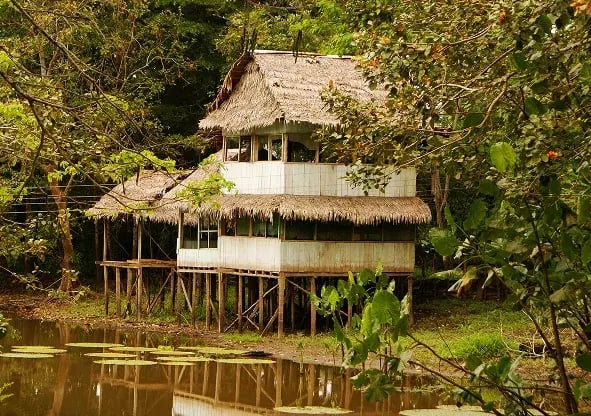 Peru|Amazon Rainforest