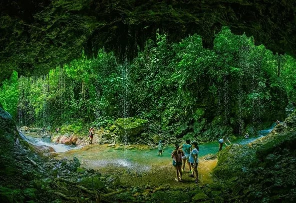 Peru|Amazon Rainforest