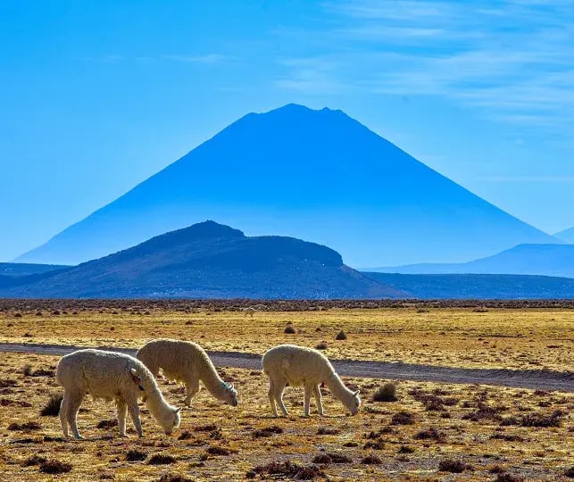 peru-expert-image