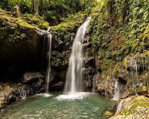 Manu-National-Park Peru|Destinations