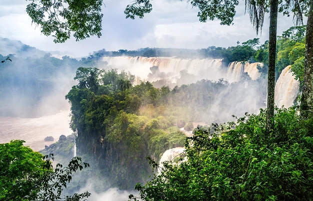Amazon-Rainforest Peru|Attractions