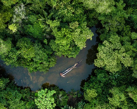 Amazon-Rainforest Peru|Safety Tips